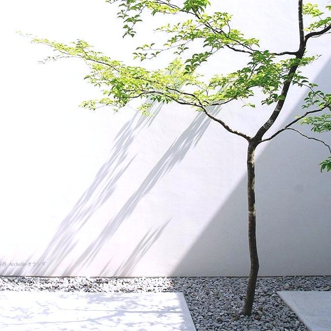 作品集 | 株式会社GA設計事務所