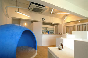 事例?店 | グランデザイン の設計事例...