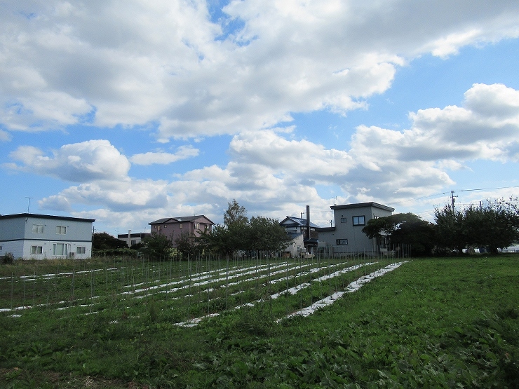 仁木ゲストハウス | 北海道札幌の設計事...