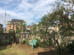 埼玉県所沢市庭木剪定工事　お庭のお手入れ　作業後
