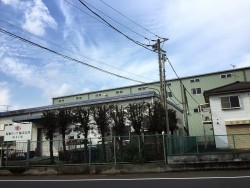 埼玉県東松山市庭木剪定工事　カイヅカの剪定　作業後