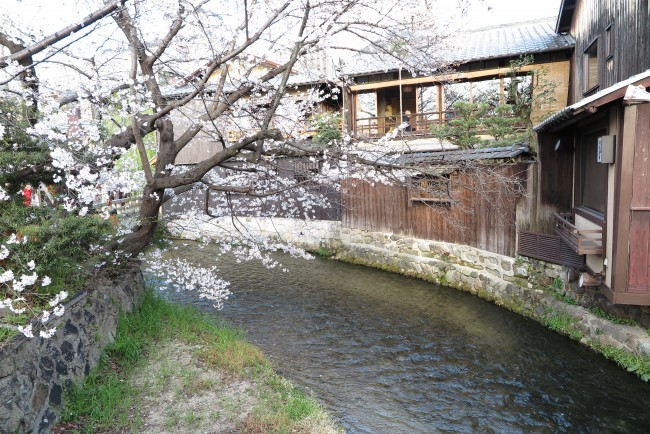 ブログ ｜ 多治見・東濃で住宅、店舗の建...