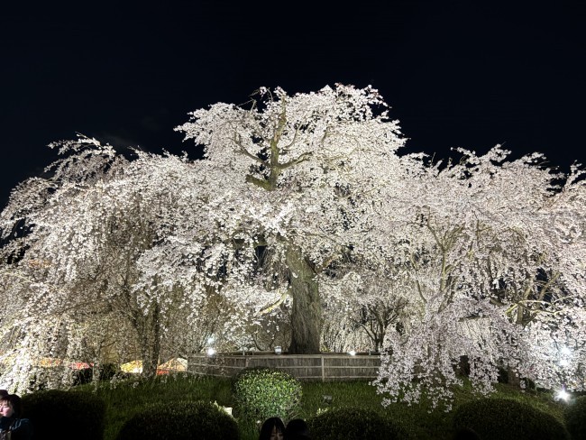 ブログ ｜ 多治見・東濃で住宅、店舗の建...
