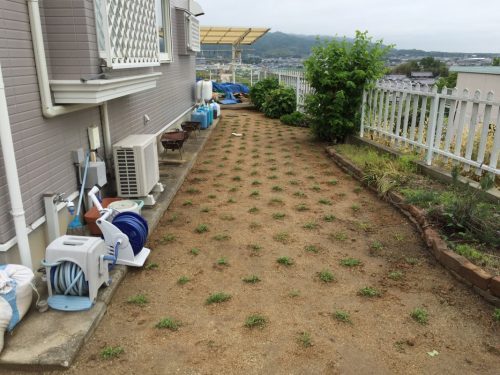 雑草対策でグランドカバーを使い、草引きを...