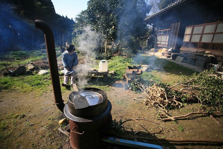 ひじき狩り。 | 野の草 設計室