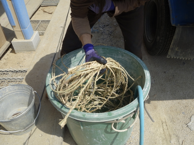 念願の竹小舞。。。 | 野の草 設計室