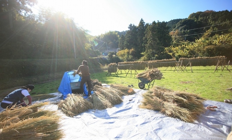暮らしに関する記事一覧