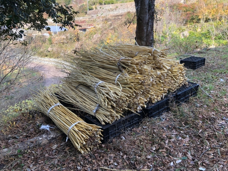 蒸し剥ぎ。。。 | 野の草 設計室