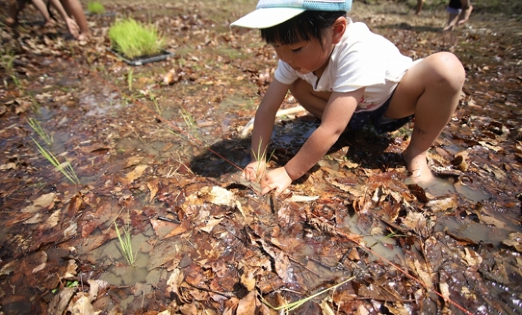 暮らしに関する記事一覧