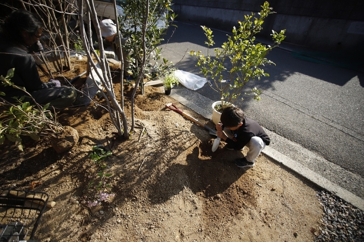 春の訪れ♪ | 野の草 設計室