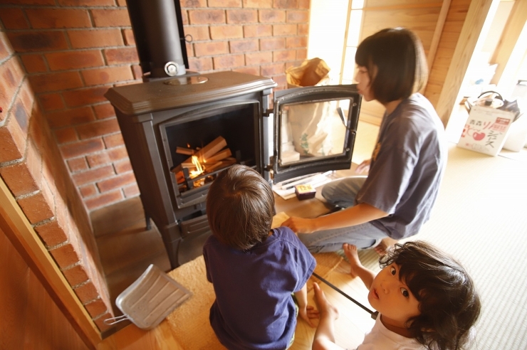 春の訪れ♪ | 野の草 設計室