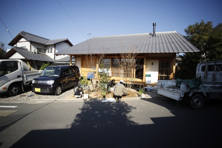 春の訪れ♪ | 野の草 設計室
