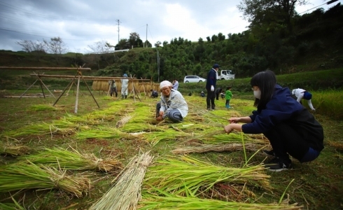 いよいよ田植え。。 | 野の草 設計室