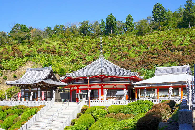 金栗山大龍寺