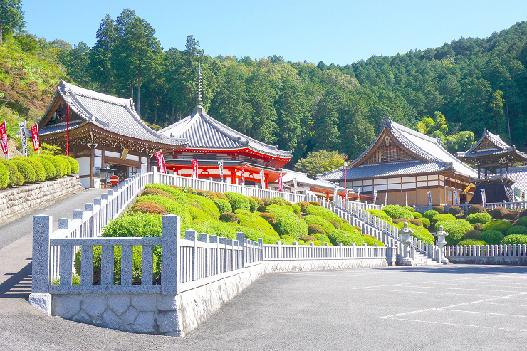 金栗山大龍寺