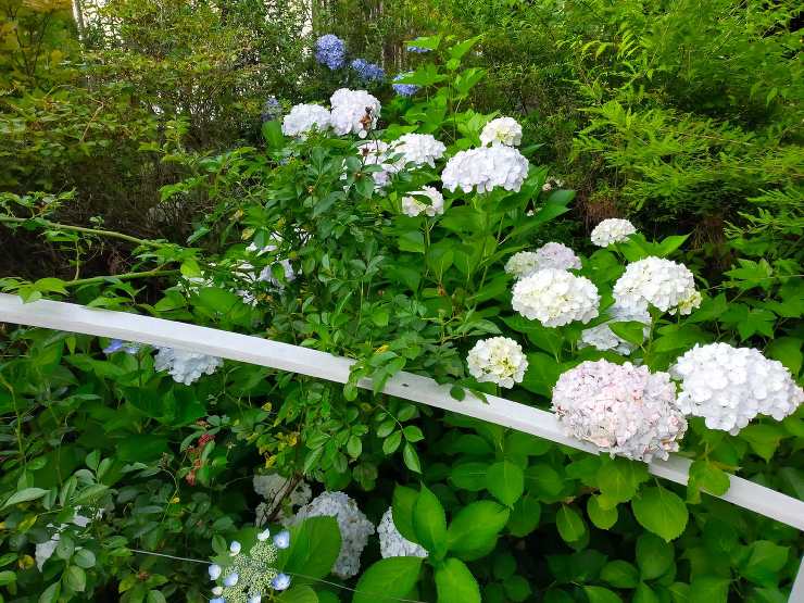 　建築家の自邸 住人十色　突撃隣のスゴイ...