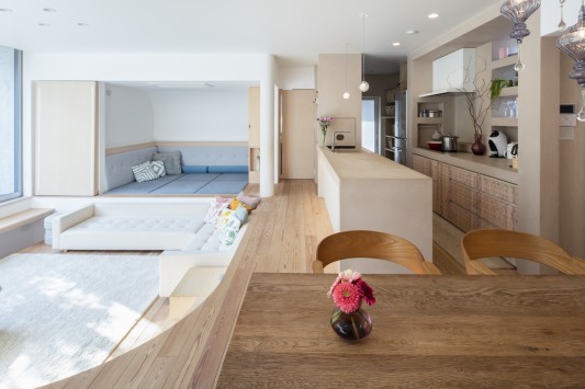 精華町の家?park view house?