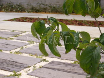 枕木と植栽とのコントラストが美しいカースペース