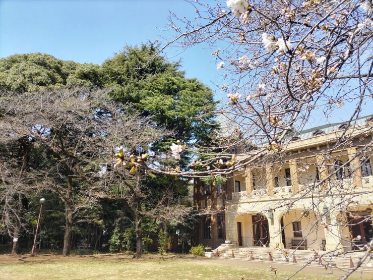 東洋一の大邸宅、旧前田家本邸。有名な建築...