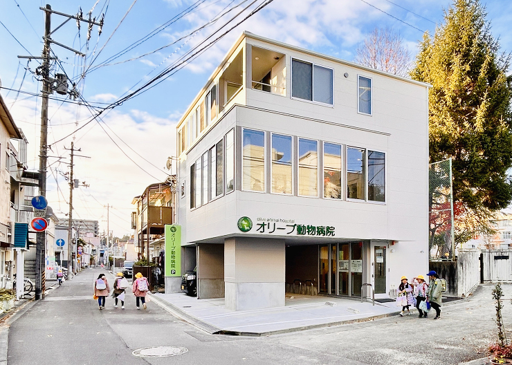 オリーブ動物病院
