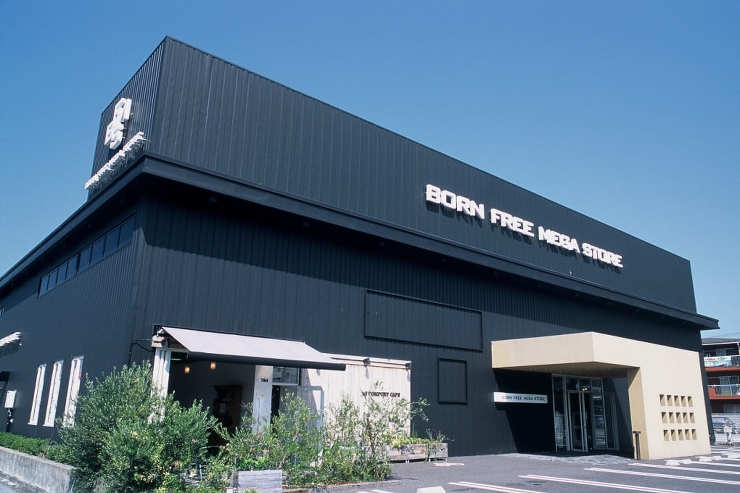 BORN FREE MEGA STORE