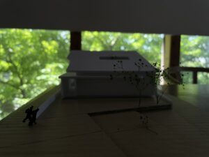 星花の家竣工 | STUDIO AULA...