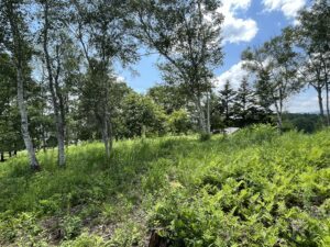 起伏の家竣工しました。 | STUDIO...