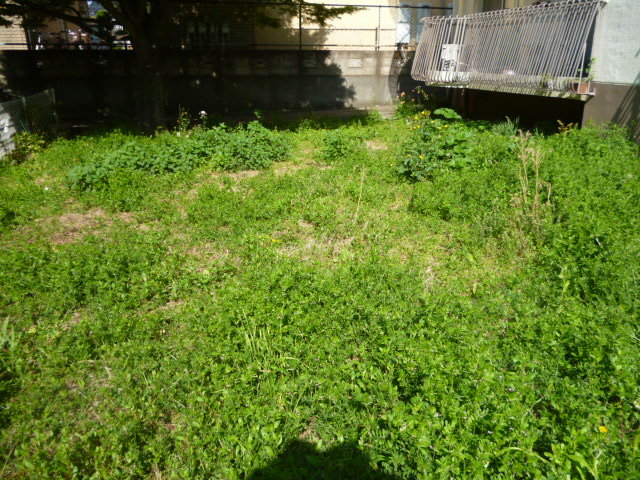 施工事例_2104除草02前｜稲葉造園