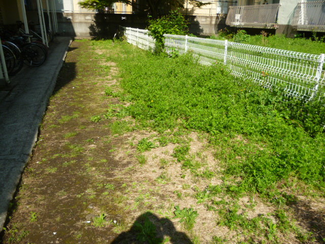 施工事例_2104除草04前｜稲葉造園