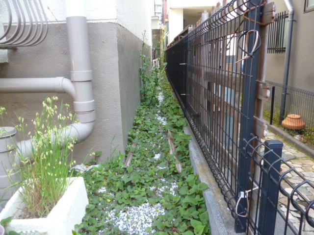 施工事例_2104除草05前｜稲葉造園