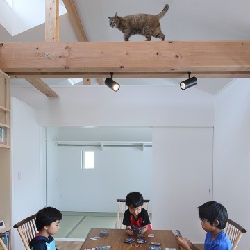 ダイニングテーブルの上の梁を歩くねこのすみれさん