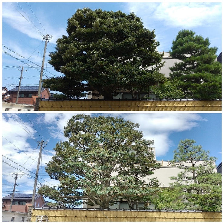 施工事例集 | 富山県の造園業者なら富山...
