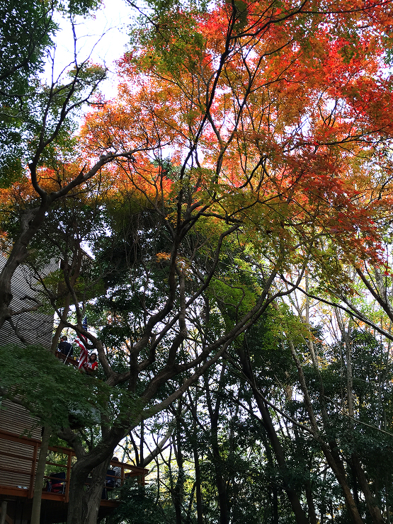 兵庫県西宮市｜石川友博建築設計事務所