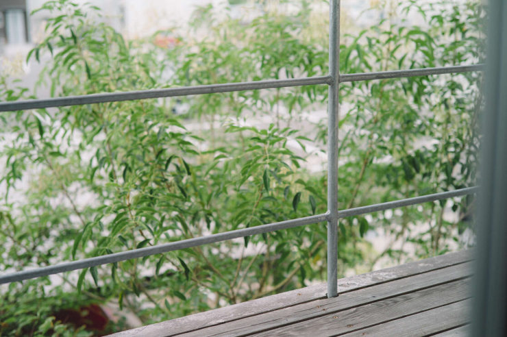 緑を感じる暮らし - ゆらり建築事務所