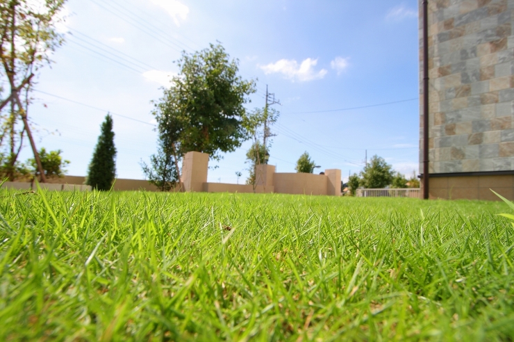 １．プランニング　