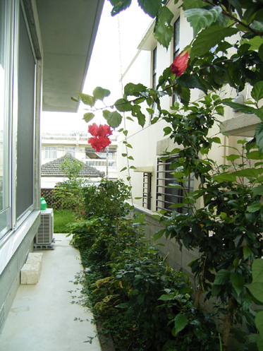 建築アトリエ・トレッペン