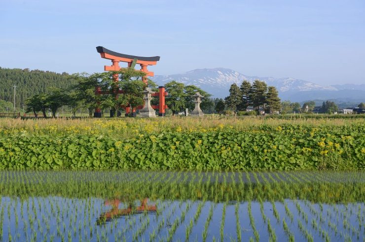 アクアプラスが選ばれる理由 - 鶴岡でリ...