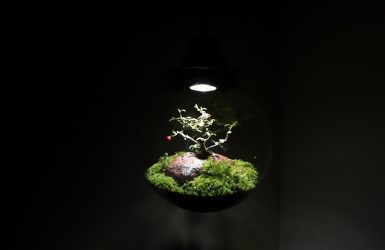 斑鳩の家に関する記事一覧