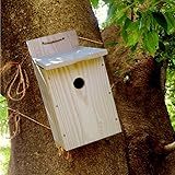 庭でバードウォッチング！野鳥に好まれるビ...
