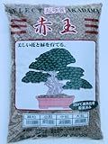 水切れに弱い植物を育てる管理法「腰水栽培...