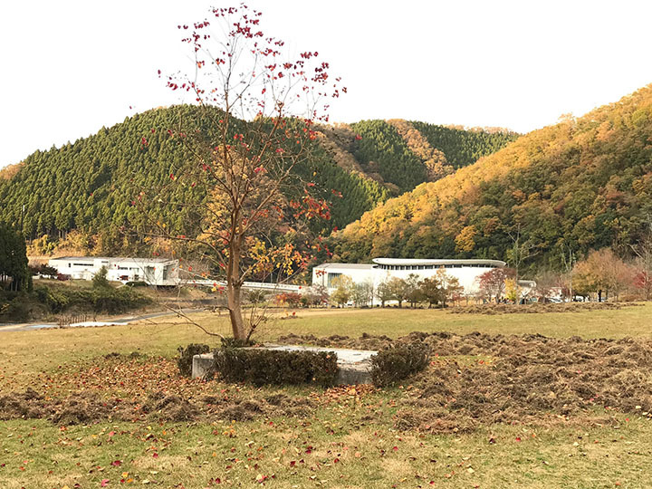 山と隣接するお庭の下準備?防獣フェンス設置?