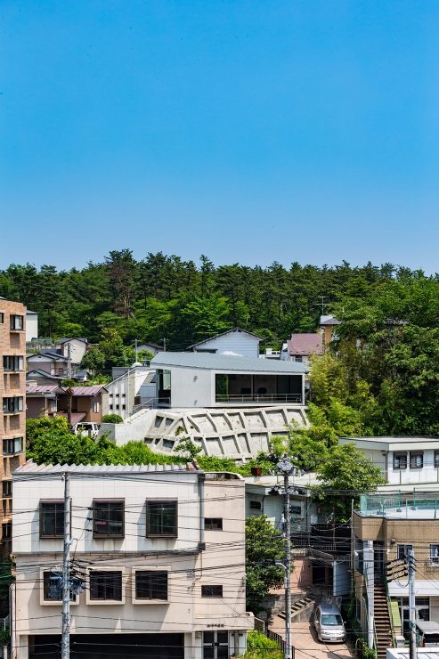 KTK　擁壁上の住処