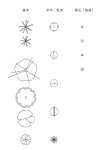 樹木　平面図