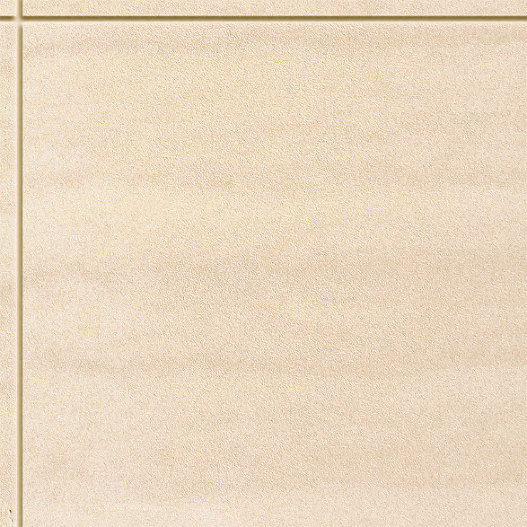 SKライムテイラーシリーズ