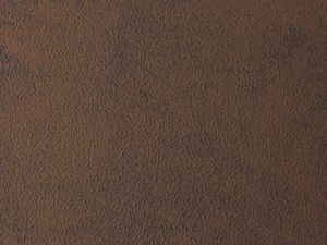 BFR-221/FFR-221