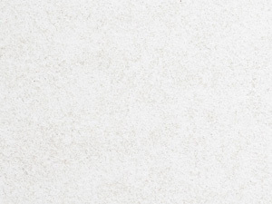 BFR-301/FFR-301