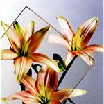 タイカルックシリーズ|スチールドア|製品...