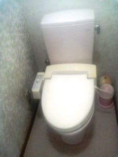 取替え前の水洗便器