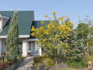 三重県 鈴鹿市でおしゃれな外構工事。お庭...
