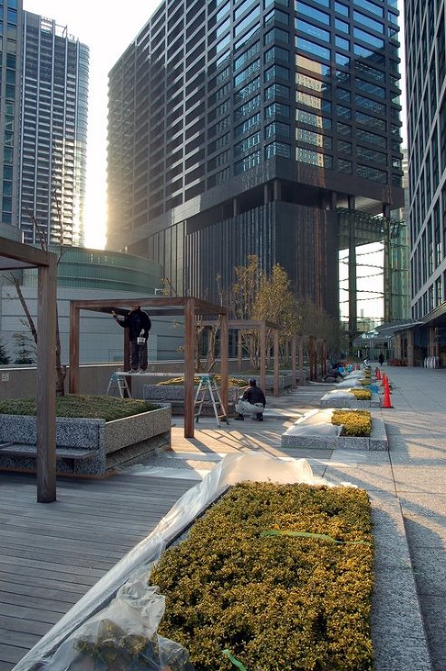 レブライト塗布